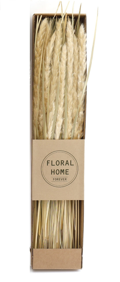 Decorative Dried Pampas Grass 60cm