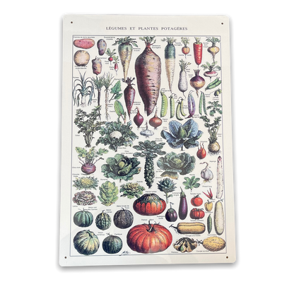 Vintage Metal Sign - Vintage Botanical Kitchen Vegetables Sign