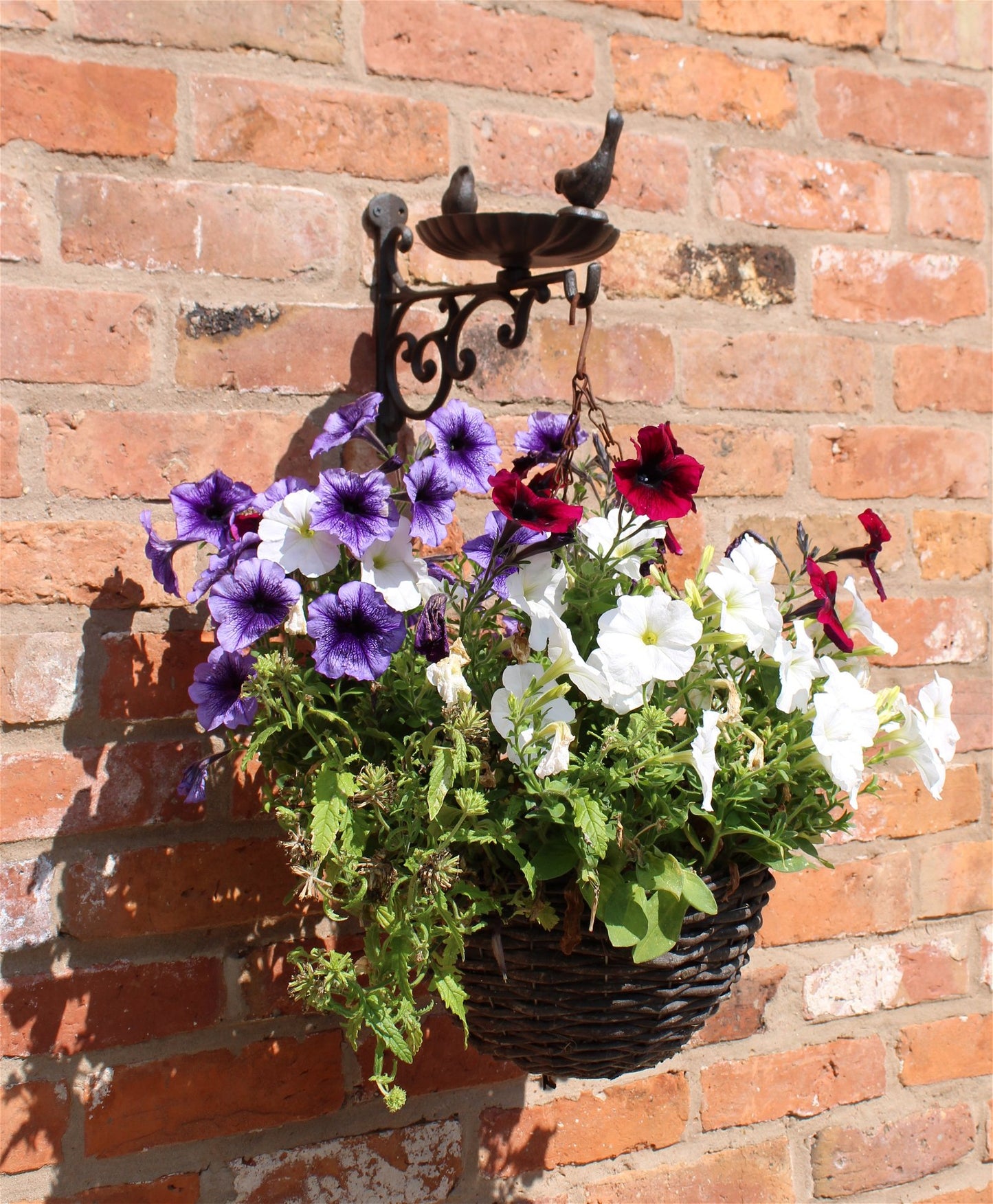 Cast Iron Hanging Basket Wall Bracket With Bird Feeder