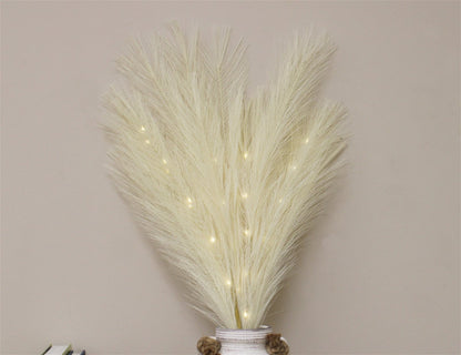 Set of Five Cream Led Pampas Grass Stems