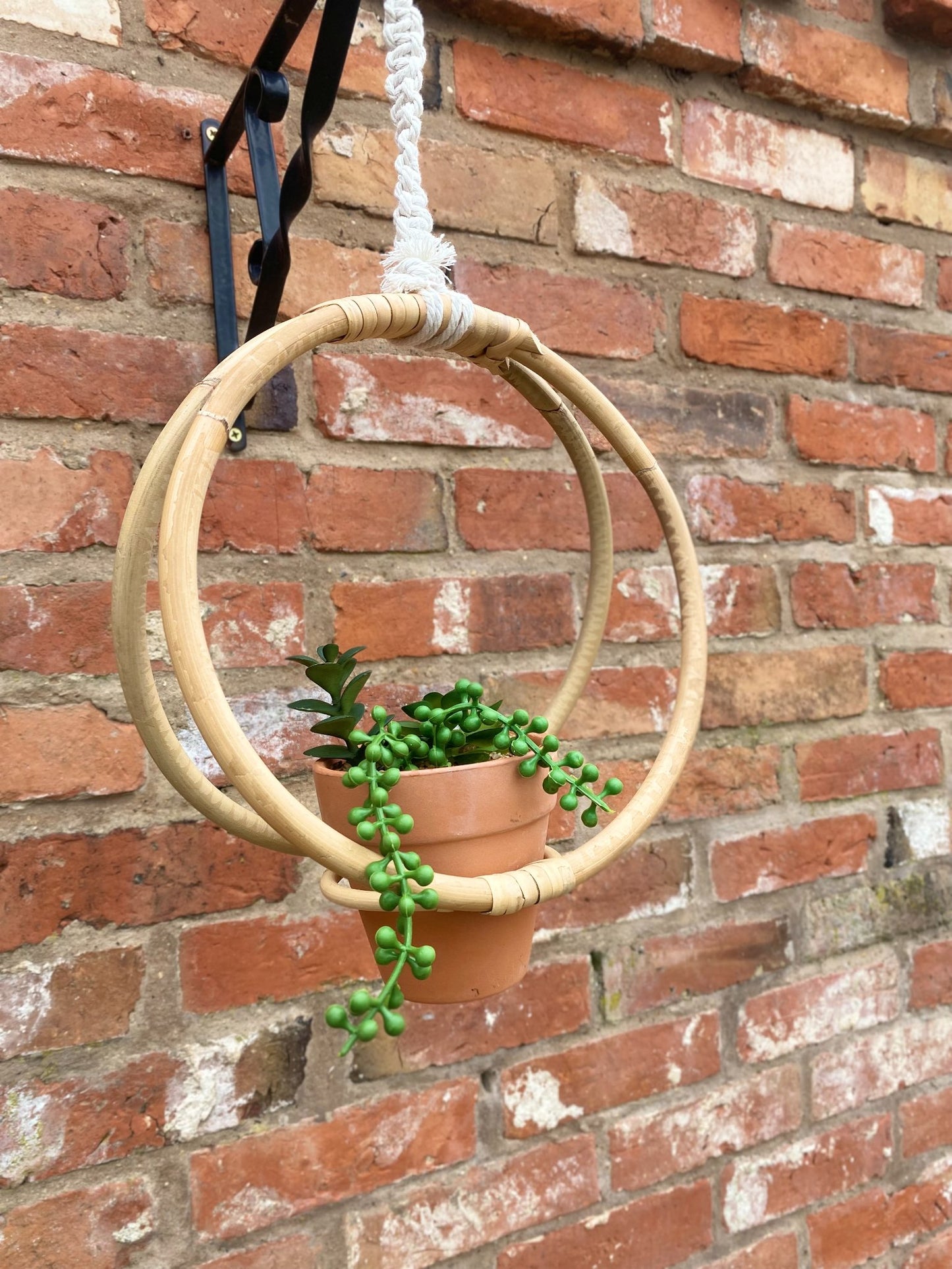 Faux Succulent In Bamboo Hanger