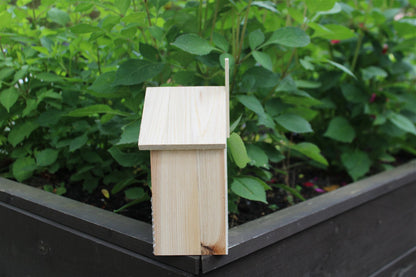 Wooden Insect House