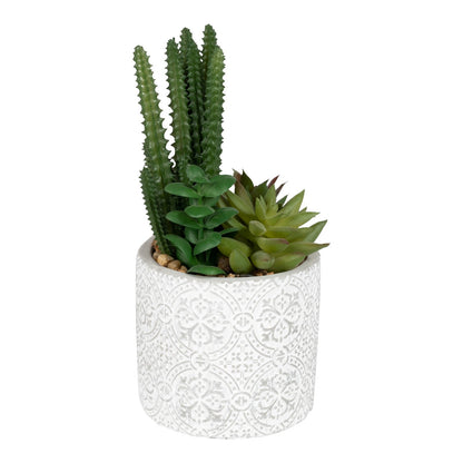 Succulents In Aztec Embossed Pot