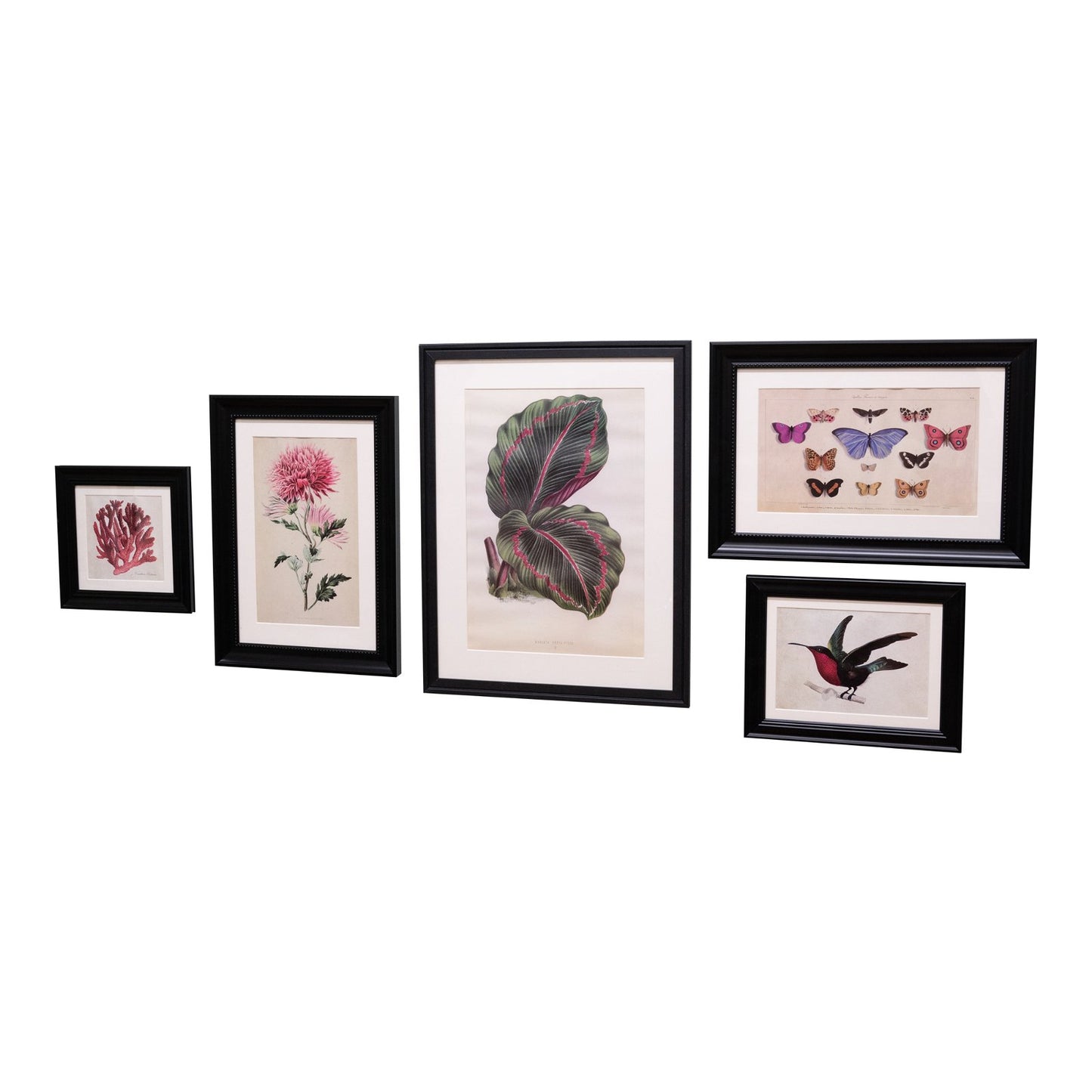 Set of 5 Boho Art in Black Frames