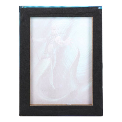 19x25cm Water Element Wizard Canvas Plaque by Anne Stokes