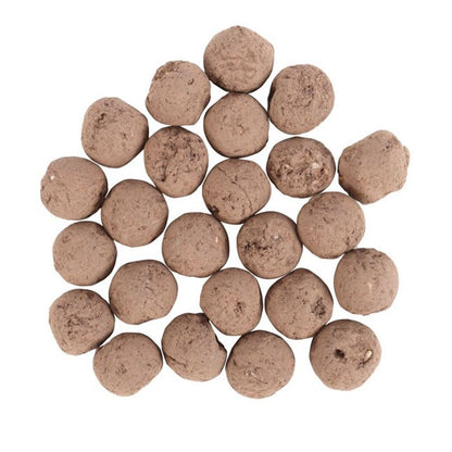 24 Garden Seed Balls in a Bag