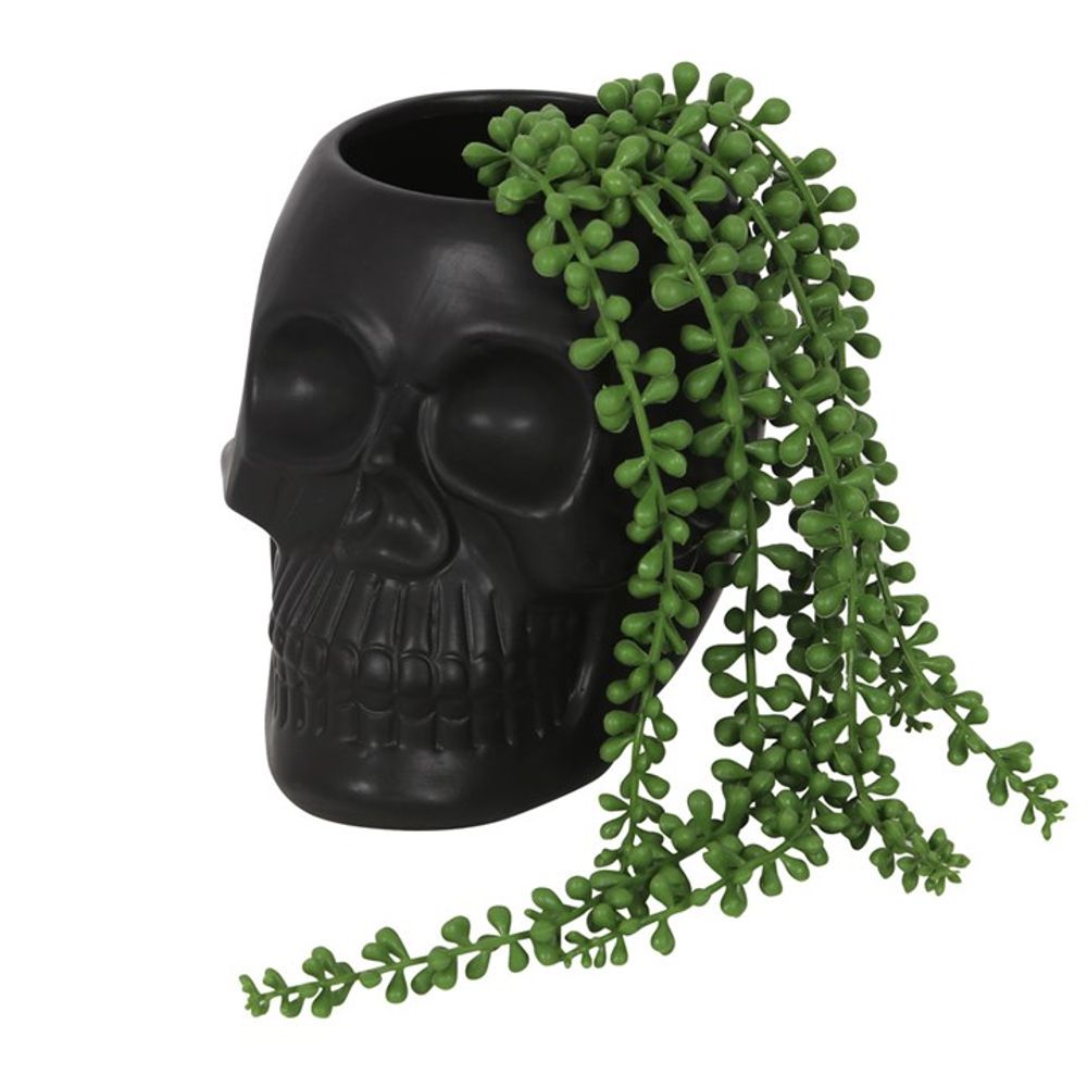 Black Skull Plant Pot